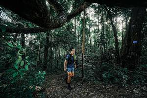 BIB: 
                            <button type="button" onclick="openModal(25390442)" class="btn btn-primary btn-sm float-right btn-popup" data-toggle="modal" data-target=".modal-high-quality">
                        <i class="fas fa-shopping-cart"></i> Add to Cart
                    </button>
                                            <button type="button" onclick="isThisMe(25390442, true)" class="btn btn-success btn-sm float-right btn-popup btn-isme hidden" data-toggle="tooltip" data-placement="bottom" title="นี่คือรูปของคุณใช่ไหม คลิกที่นี่เพื่อเอาเข้าอัลบั้ม">
                        <i class="fas fa-plus"></i> Add to album
                    </button>
                    <button type="button" onclick="isThisMe(25390442, false)" class="btn btn-warning btn-sm float-right btn-popup btn-isnotme hidden">
                        <i class="fas fa-ban"></i> Remove from album
                    </button>